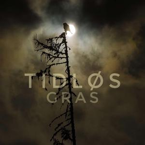 Stille fred (feat. Kim Rysstad)