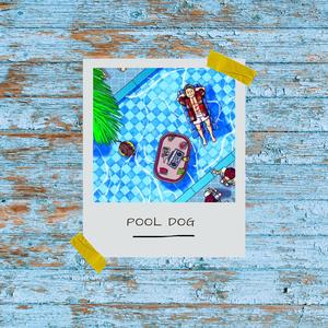 Pool Dog