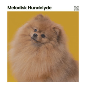 Beroligende musik til din hund, Pt. 15