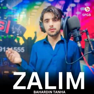 Wanay (feat. Bahardin Tanha)