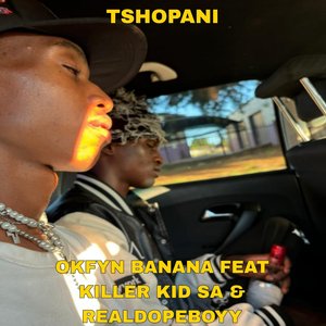 Tshopani