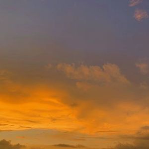 罗曼（翻自 吴垚滔）