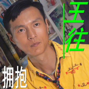 《王往的拥抱》