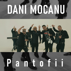 Pantofii