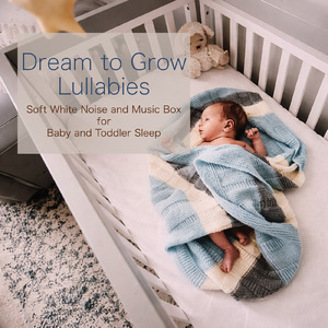 静かな夜のオルゴールホワイトノイズ - だれもが眠れるやさしい音