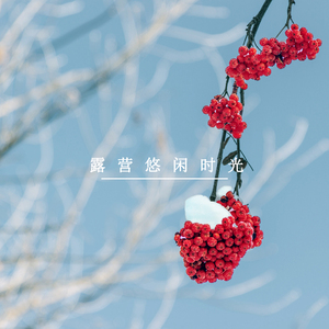 冬日露营 (八音盒)