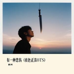 有一种悲伤 (夜色正浓OTS)