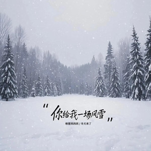 你给我一场风雪 (DJ版)