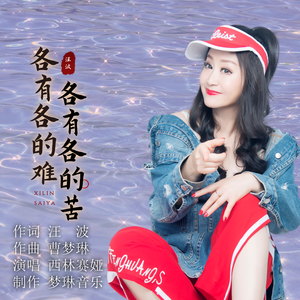 各有各的苦，各有各的难（伴奏）