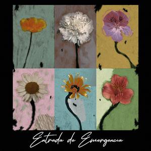 Un barco llevándome