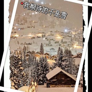 我期待的不是雪(Live)