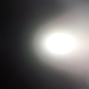 How Could You Do Such A Thing