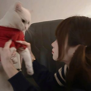 周涛我后悔了后悔认识你