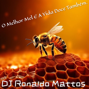 O Melhor Mel E A Vida Doce Também
