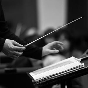 小猫咪（改编）