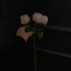 without you (feat. $ile, rien, perllune, noahsuri & jvne)