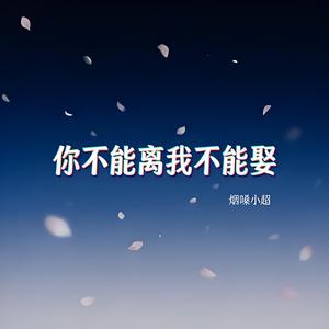 你不能离我不能娶