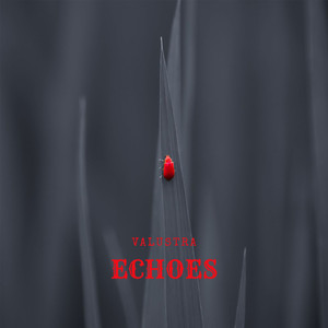 Echoes