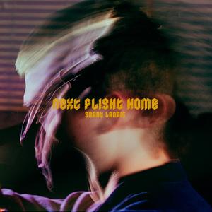 Next Flight Home (Radio Edit)