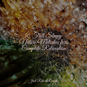 Distant Memories Mournfully Linger