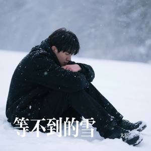 等不到的雪