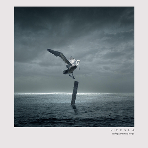 забирая чужое море