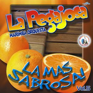 Mix Pegajoso de Chente: Estos Celos / Millón de Primaveras / El Chofer