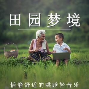 田园梦境（哄睡纯音乐）