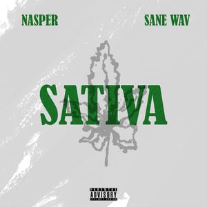 SATIVA (feat. Sane Wav)