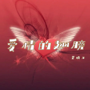 爱情的翅膀