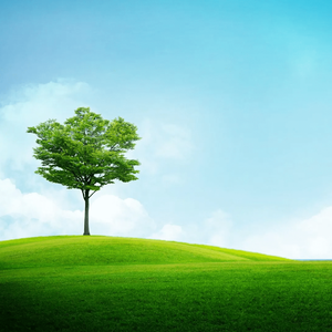 《散场的离别》