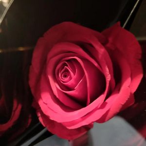 1月29日(2023-01-29 19-14-25 354)