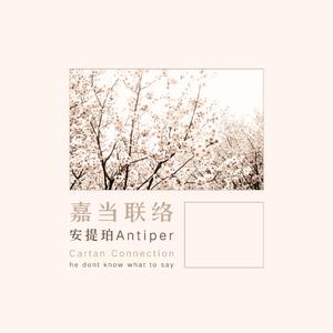 晴朗的夜空