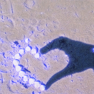 Spuren Im Sand (Piano)