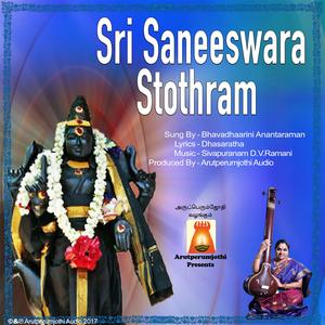 Sri Saneeswara Stothram