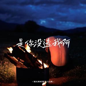 是你没选我啊 (是我没等你吗) - R&B氛围男声