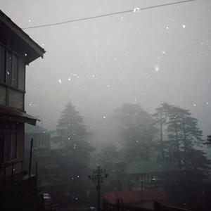 Shimla