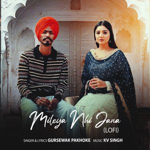 Mileya Nhi Jana Lofi