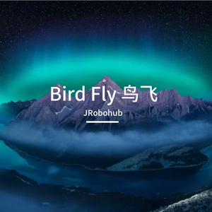 Bird Fly 鸟飞