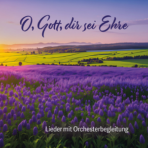 Schwankend fährt ein Schiff