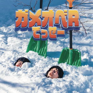 ガメオベRでっせー