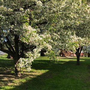 期末要拍电影快速折腾的纯音乐