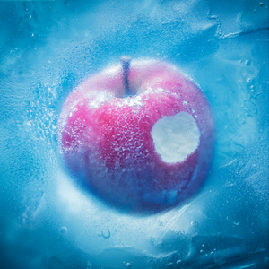 凍えそうな季節から