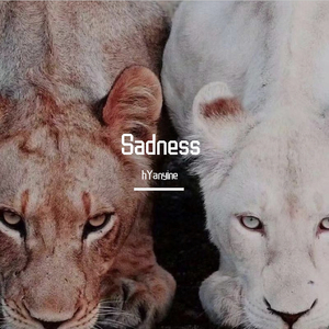 Sadness
