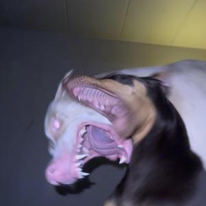 ET