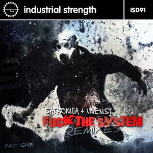 **** the System