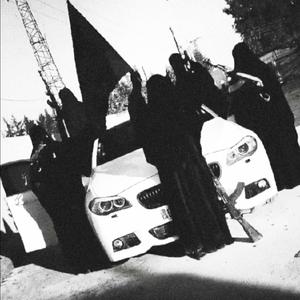 Feedback Looper No. 1