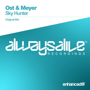 Sky Hunter (Original Mix)