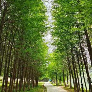 你是我最牵挂的一个女子