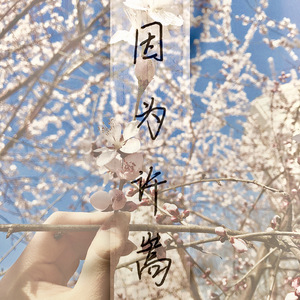 河山大好（翻自 许嵩）